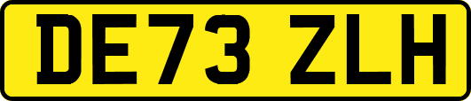 DE73ZLH