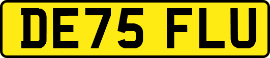 DE75FLU