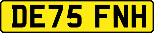 DE75FNH