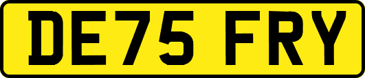 DE75FRY