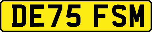 DE75FSM