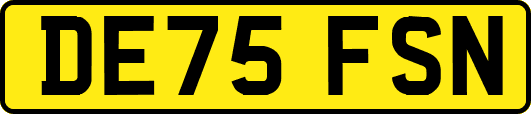 DE75FSN