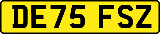 DE75FSZ