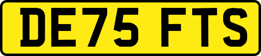 DE75FTS