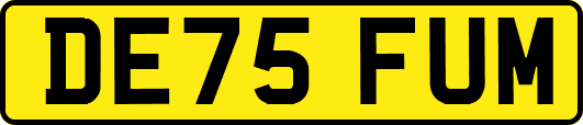 DE75FUM