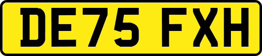 DE75FXH