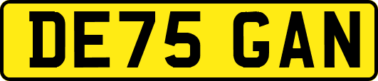 DE75GAN