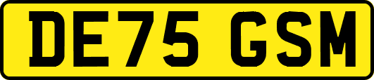 DE75GSM