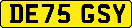 DE75GSY