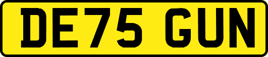 DE75GUN