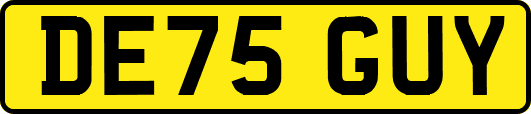 DE75GUY