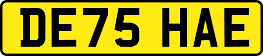 DE75HAE