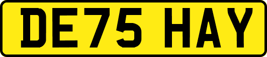 DE75HAY