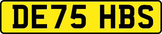 DE75HBS