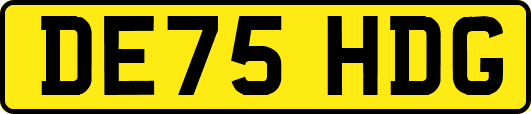 DE75HDG