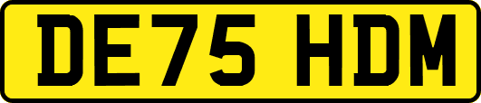 DE75HDM
