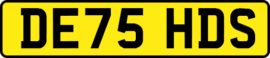 DE75HDS
