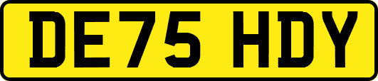 DE75HDY