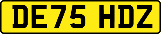 DE75HDZ