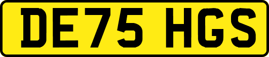 DE75HGS