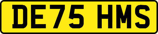 DE75HMS