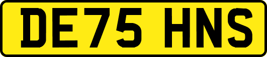 DE75HNS
