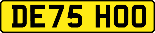 DE75HOO