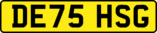 DE75HSG