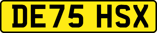 DE75HSX