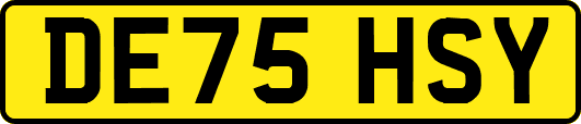 DE75HSY
