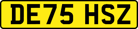 DE75HSZ