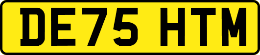 DE75HTM