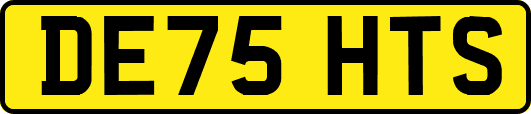 DE75HTS