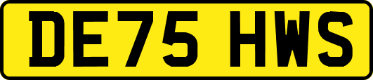 DE75HWS