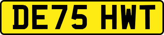 DE75HWT