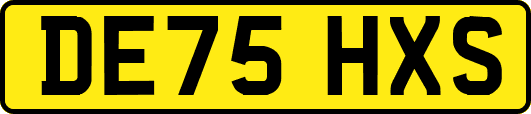 DE75HXS