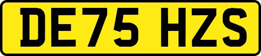 DE75HZS