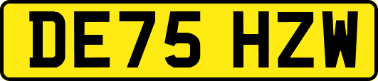 DE75HZW