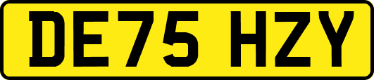 DE75HZY
