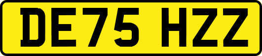 DE75HZZ