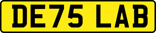 DE75LAB