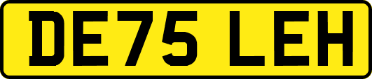 DE75LEH