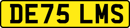 DE75LMS