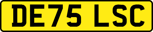 DE75LSC