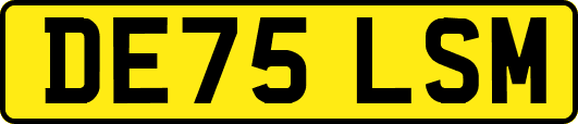 DE75LSM