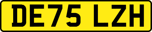 DE75LZH