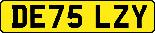 DE75LZY