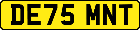 DE75MNT
