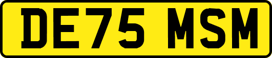 DE75MSM