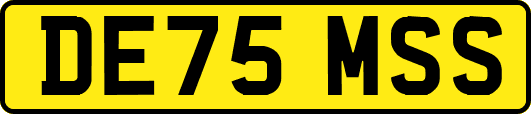 DE75MSS